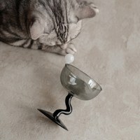 ferie 沐日酒杯