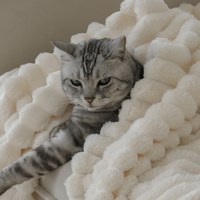 bubbla 泡泡毛絨蓋毯