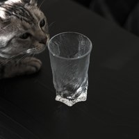 Tree 木笈樹纹玻璃杯