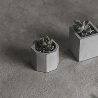 Tomo迷你植盆