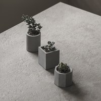 Tomo迷你植盆