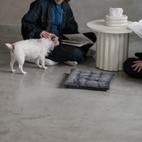 Gray 軟綿餅乾坐墊