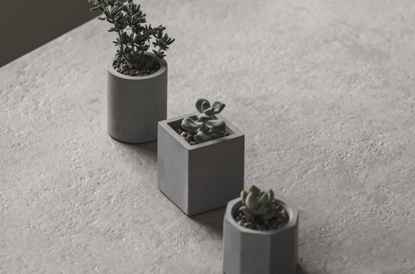 室內植物