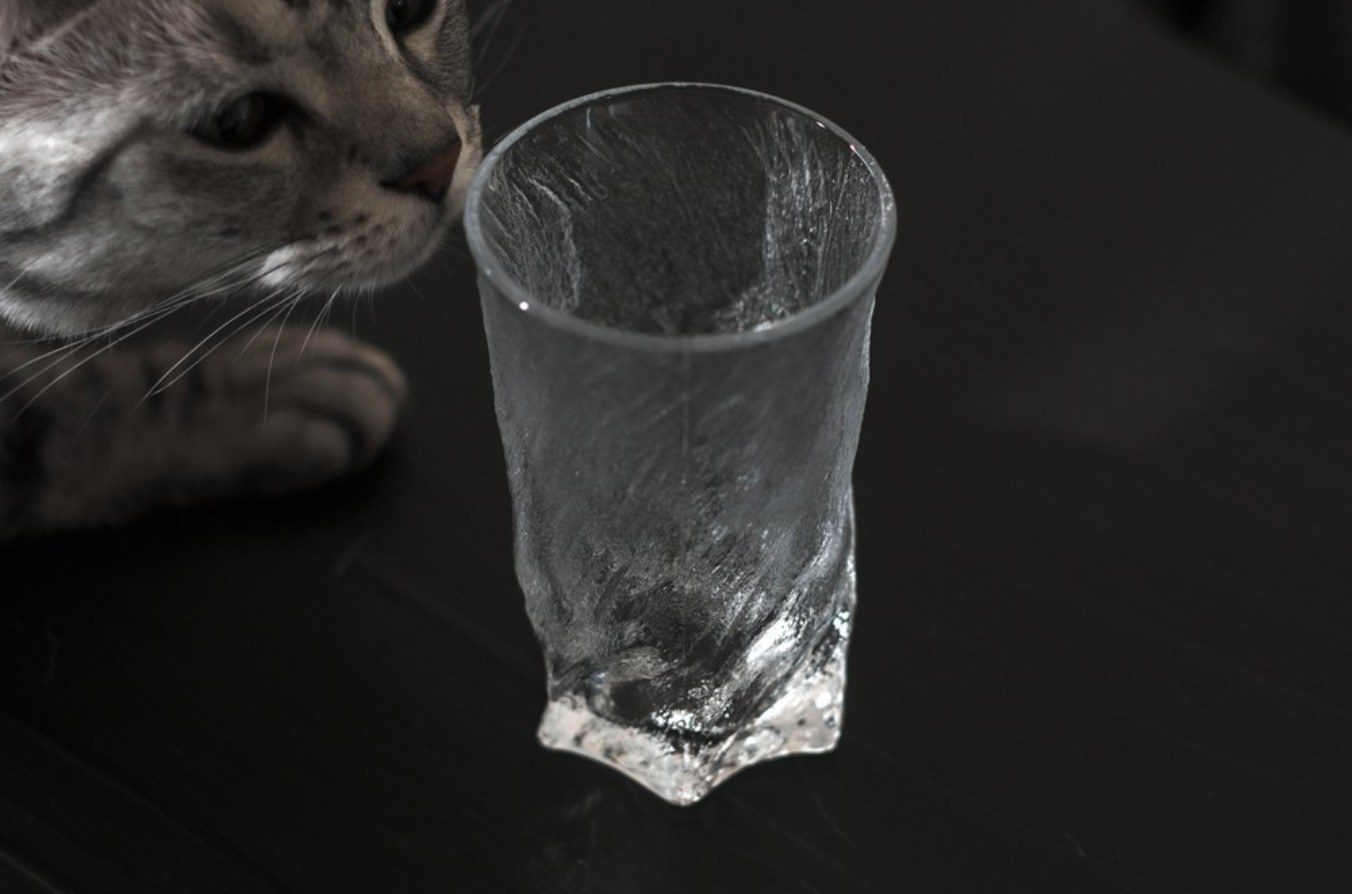 玻璃杯清潔