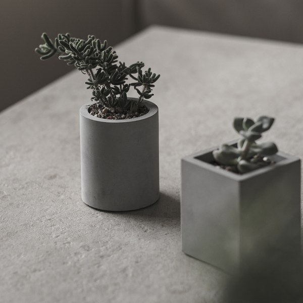 Tomo迷你植盆